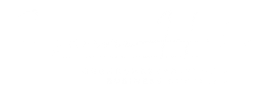 Logo Susanne Hahn